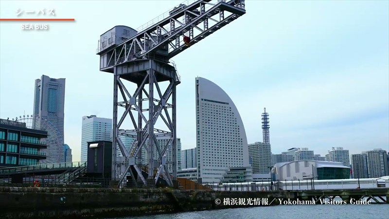 シーバス