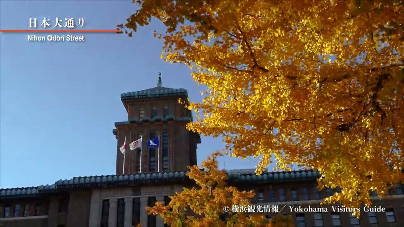 日本大通り（秋）